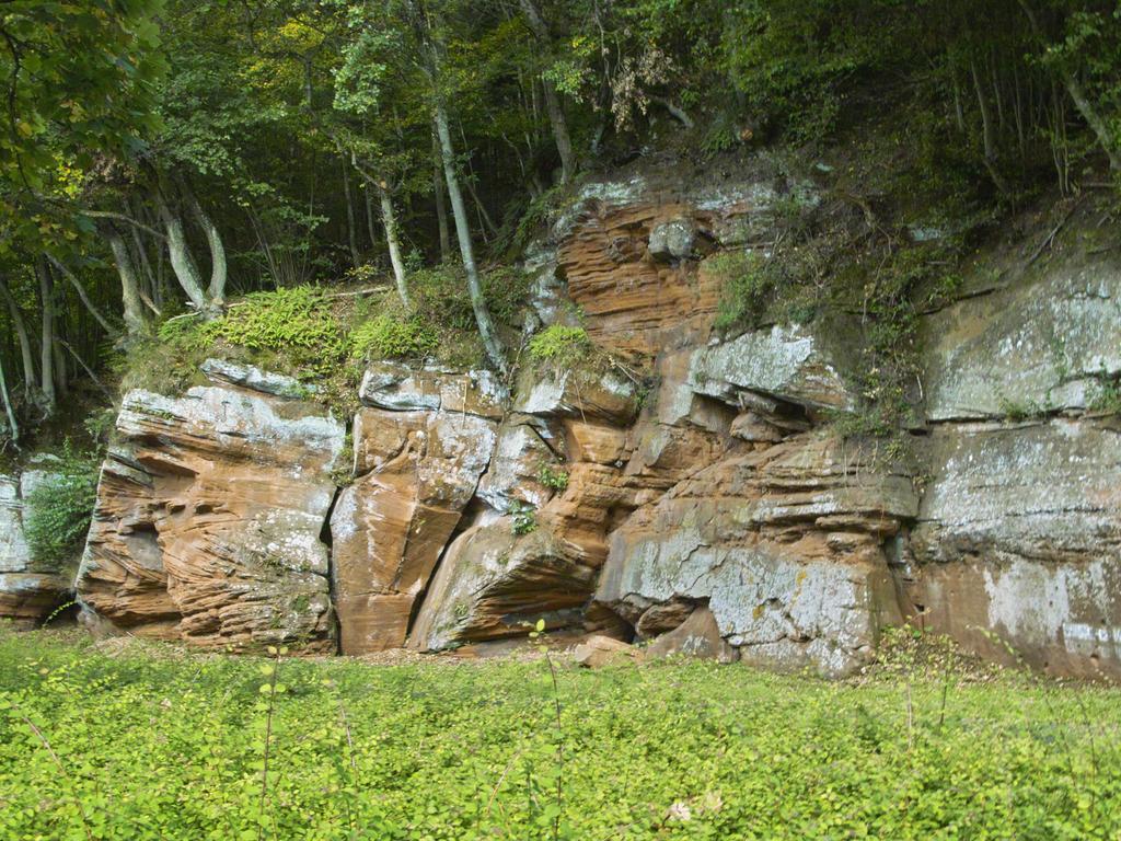 Landhaus Waldlehne Biersdorf am See Bagian luar foto