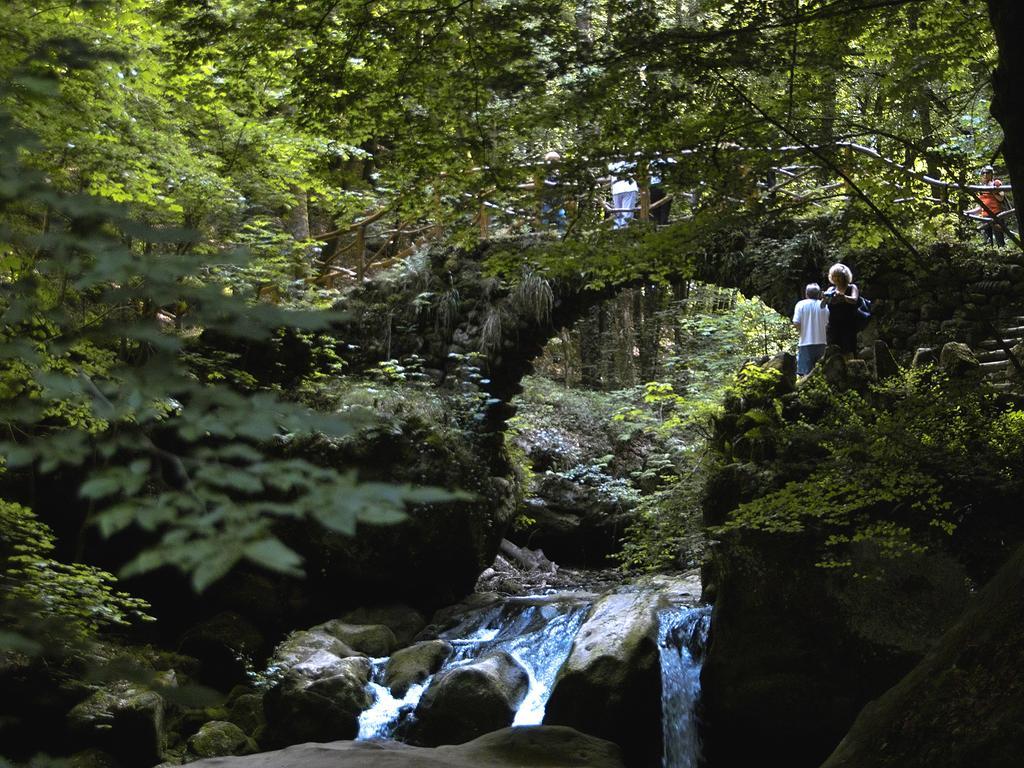 Landhaus Waldlehne Biersdorf am See Bagian luar foto